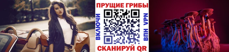 цены наркотик мега сайт Галлюциногенные грибы Psilocybe Бакал