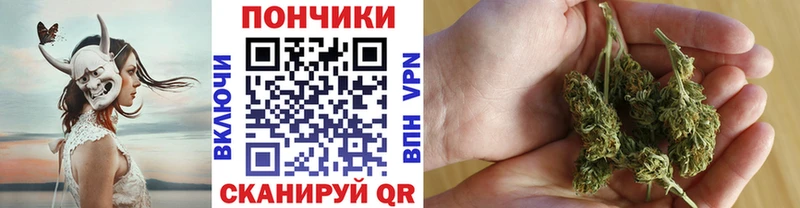 Каннабис семена Бакал
