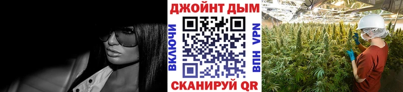 Бошки марихуана MAZAR  Бакал 